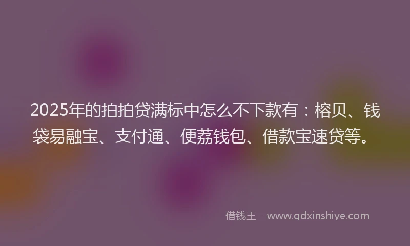 2025年的拍拍贷满标中怎么不下款有：榕贝、钱袋易融宝、支付通、便荔钱包、借款宝速贷等。