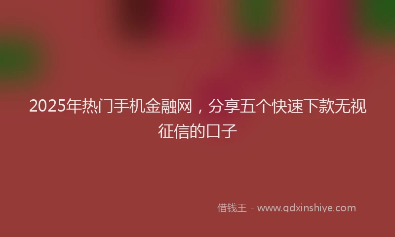 2025年热门手机金融网，分享五个快速下款无视征信的口子