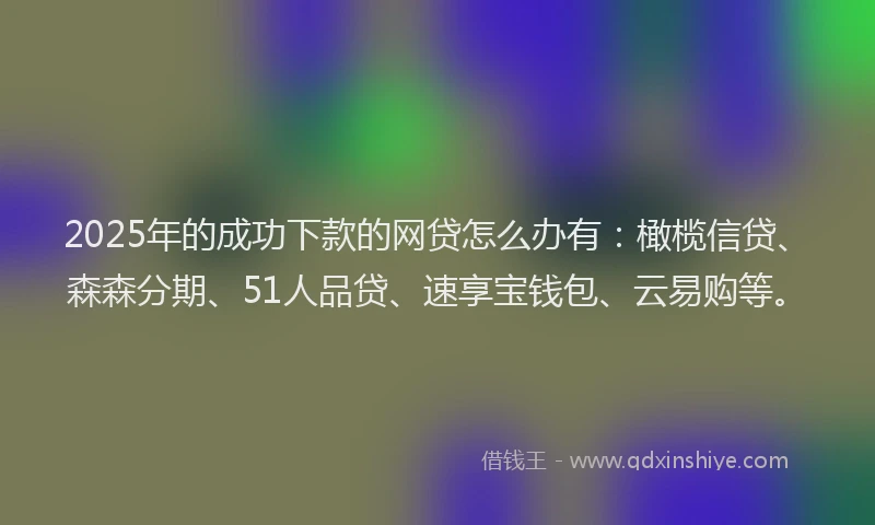 2025年的成功下款的网贷怎么办有：橄榄信贷、森森分期、51人品贷、速享宝钱包、云易购等。