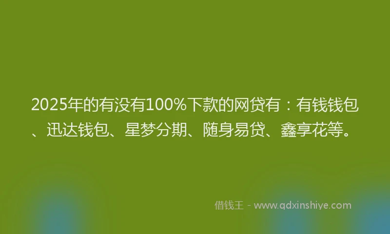 2025年的有没有100%下款的网贷有：有钱钱包、迅达钱包、星梦分期、随身易贷、鑫享花等。