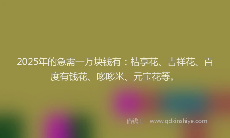 2025年的急需一万块钱有：桔享花、吉祥花、百度有钱花、哆哆米、元宝花等。
