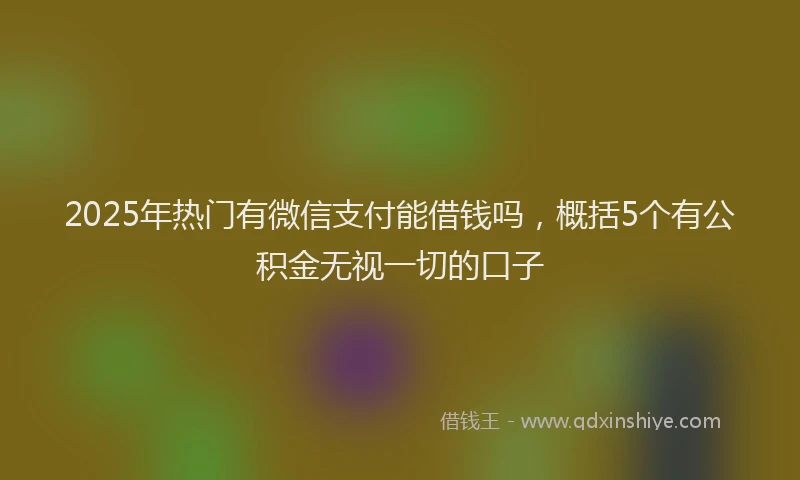 2025年热门有微信支付能借钱吗，概括5个有公积金无视一切的口子