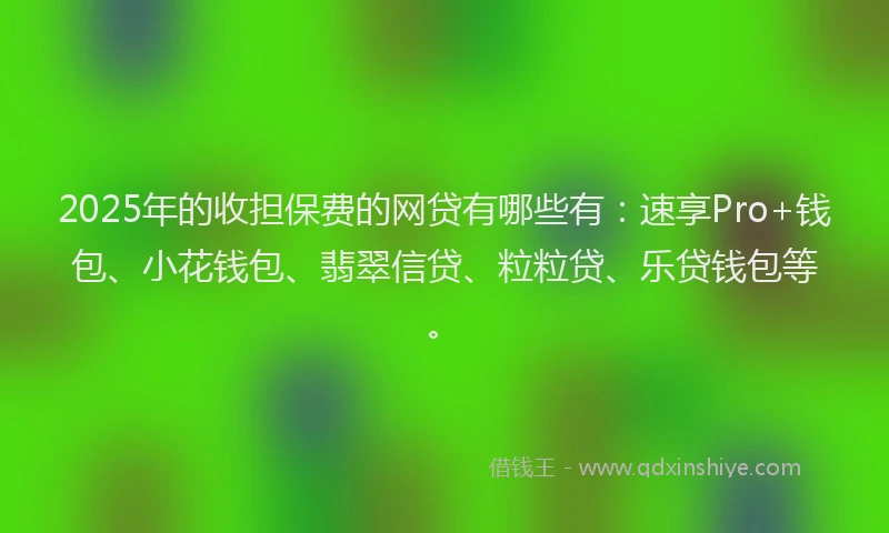 2025年的收担保费的网贷有哪些有：速享Pro+钱包、小花钱包、翡翠信贷、粒粒贷、乐贷钱包等。