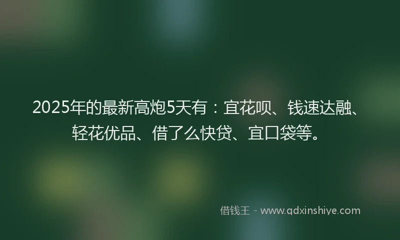 2025年的最新高炮5天有：宜花呗、钱速达融、轻花优品、借了么快贷、宜口袋等。