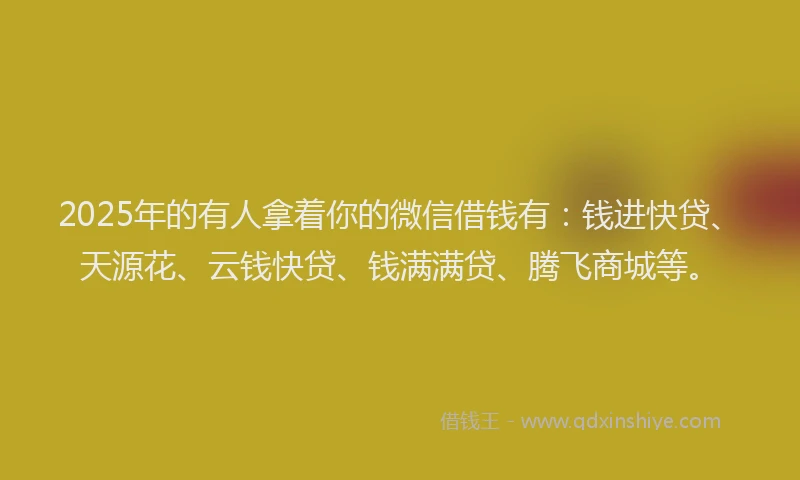 2025年的有人拿着你的微信借钱有：钱进快贷、天源花、云钱快贷、钱满满贷、腾飞商城等。