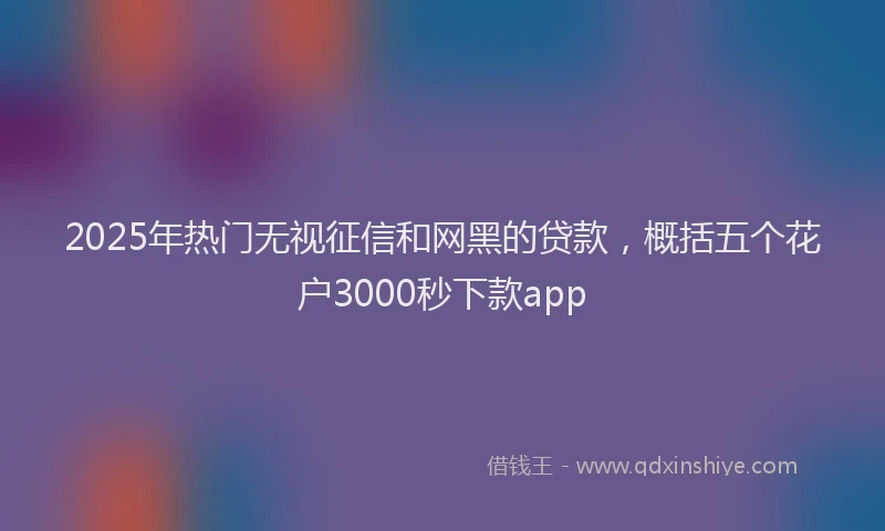 2025年热门无视征信和网黑的贷款，概括五个花户3000秒下款app