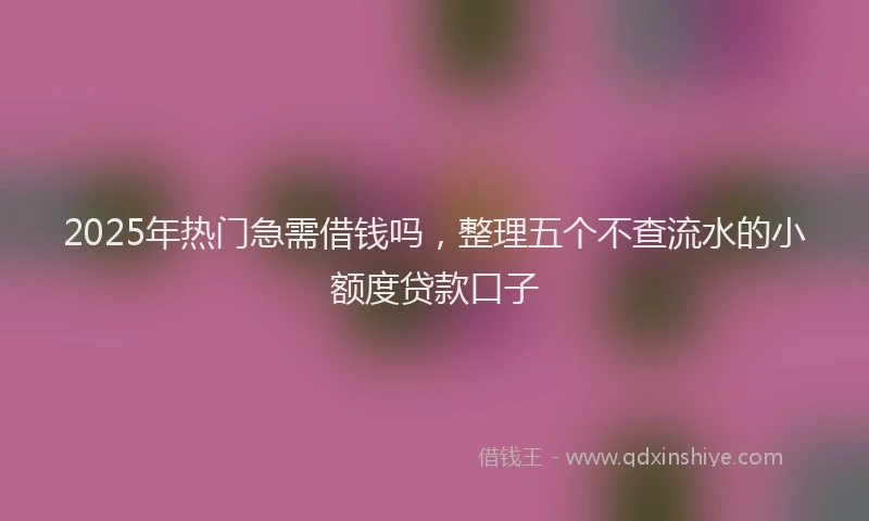 2025年热门急需借钱吗，整理五个不查流水的小额度贷款口子