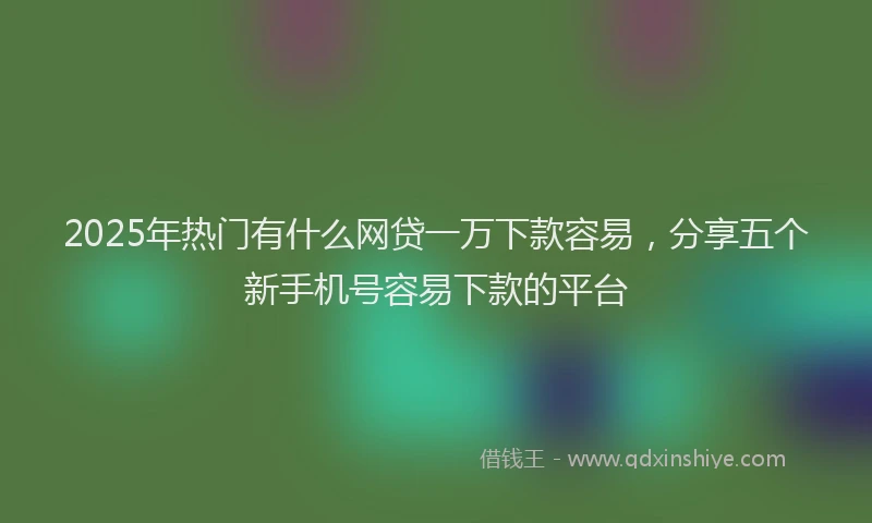 2025年热门有什么网贷一万下款容易，分享五个新手机号容易下款的平台
