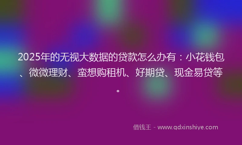 2025年的无视大数据的贷款怎么办有：小花钱包、微微理财、蛮想购租机、好期贷、现金易贷等。