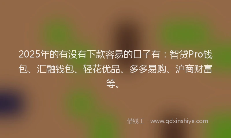 2025年的有没有下款容易的口子有：智贷Pro钱包、汇融钱包、轻花优品、多多易购、沪商财富等。