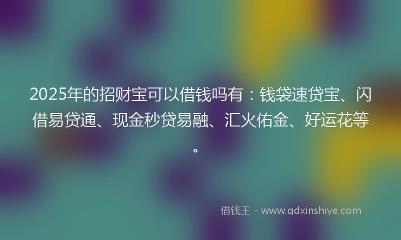 2025年的招财宝可以借钱吗有：钱袋速贷宝、闪借易贷通、现金秒贷易融、汇火佑金、好运花等。