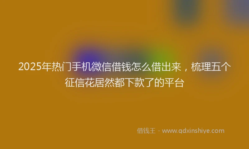 2025年热门手机微信借钱怎么借出来，梳理五个征信花居然都下款了的平台