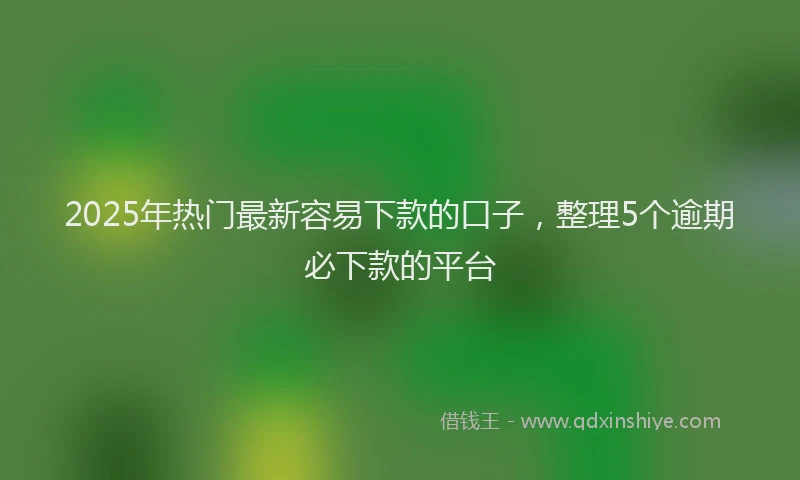 2025年热门最新容易下款的口子，整理5个逾期必下款的平台