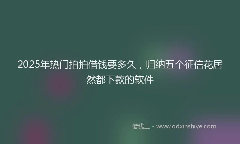 2025年热门拍拍借钱要多久，归纳五个征信花居然都下款的软件