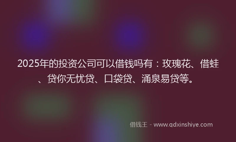 2025年的投资公司可以借钱吗有：玫瑰花、借蛙、贷你无忧贷、口袋贷、涌泉易贷等。