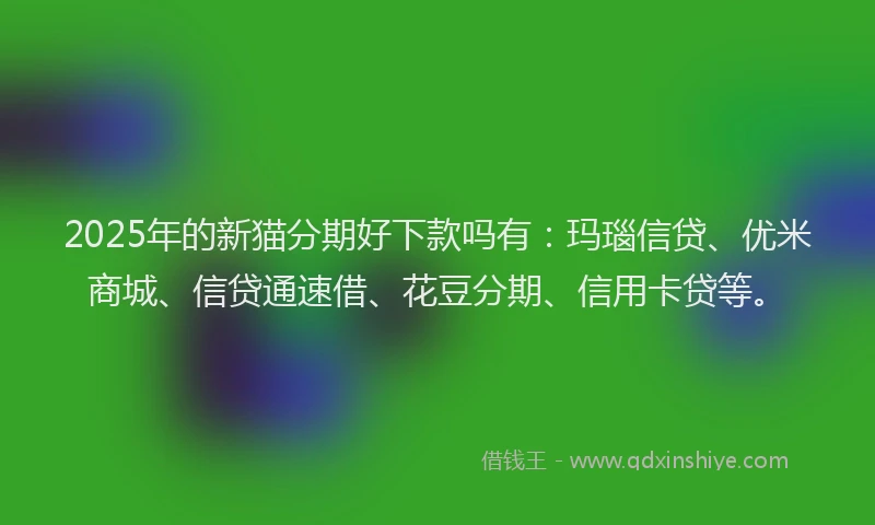 2025年的新猫分期好下款吗有：玛瑙信贷、优米商城、信贷通速借、花豆分期、信用卡贷等。
