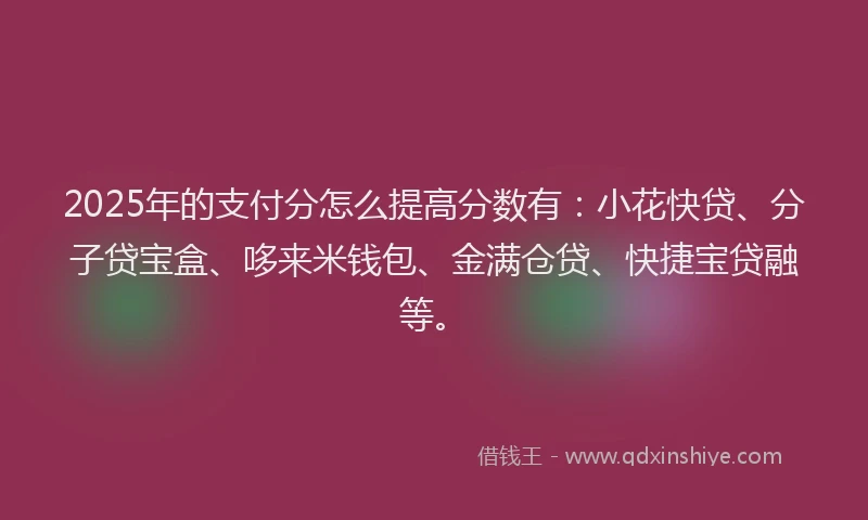 2025年的支付分怎么提高分数有：小花快贷、分子贷宝盒、哆来米钱包、金满仓贷、快捷宝贷融等。