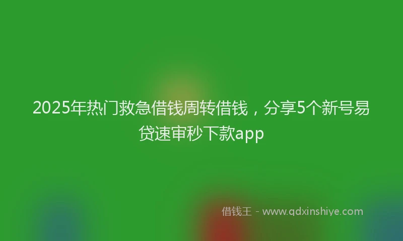 2025年热门救急借钱周转借钱，分享5个新号易贷速审秒下款app