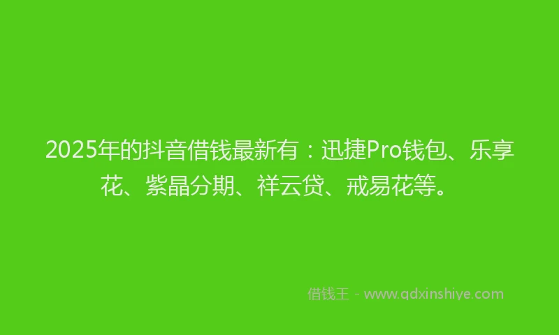 2025年的抖音借钱最新有：迅捷Pro钱包、乐享花、紫晶分期、祥云贷、戒易花等。