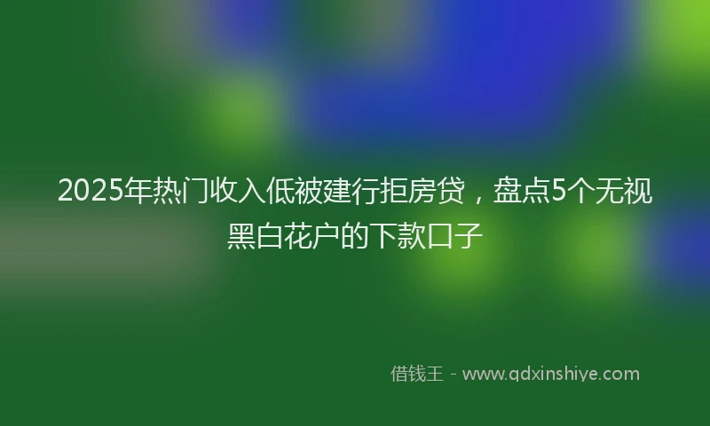 2025年热门收入低被建行拒房贷，盘点5个无视黑白花户的下款口子
