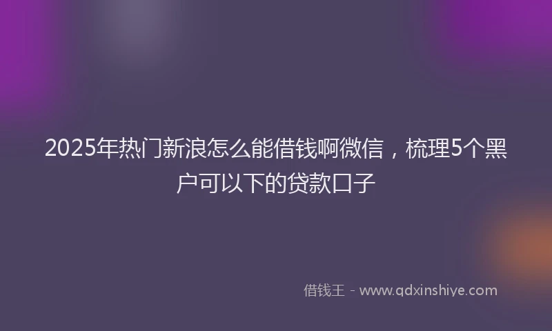 2025年热门新浪怎么能借钱啊微信，梳理5个黑户可以下的贷款口子