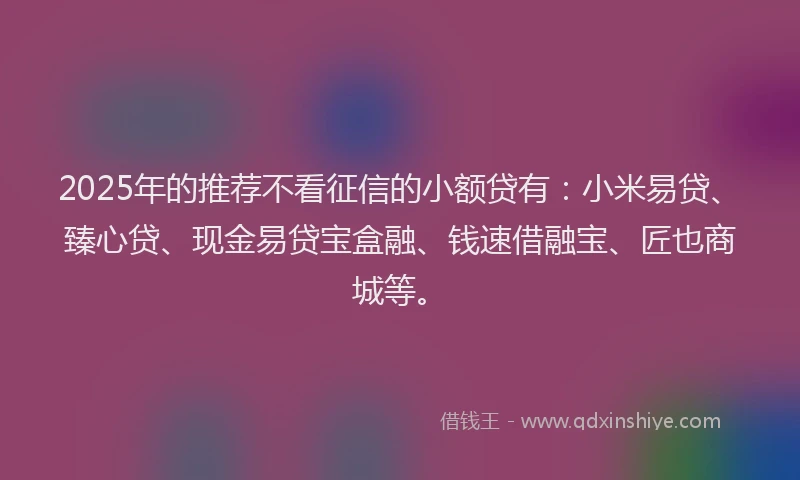 2025年的推荐不看征信的小额贷有：小米易贷、臻心贷、现金易贷宝盒融、钱速借融宝、匠也商城等。