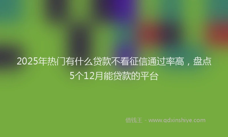 2025年热门有什么贷款不看征信通过率高，盘点5个12月能贷款的平台