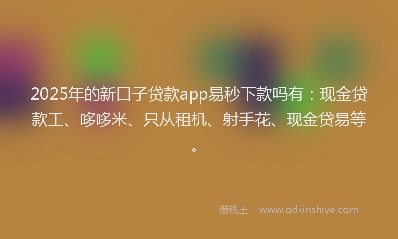 2025年的新口子贷款app易秒下款吗有：现金贷款王、哆哆米、只从租机、射手花、现金贷易等。