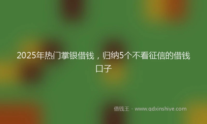 2025年热门掌银借钱，归纳5个不看征信的借钱口子