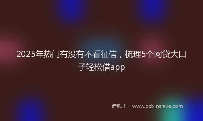 2025年热门有没有不看征信，梳理5个网贷大口子轻松借app