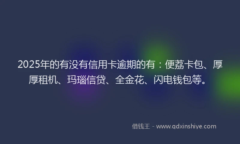 2025年的有没有信用卡逾期的有：便荔卡包、厚厚租机、玛瑙信贷、全金花、闪电钱包等。