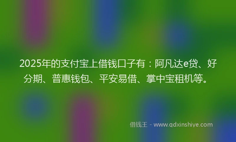 2025年的支付宝上借钱口子有：阿凡达e贷、好分期、普惠钱包、平安易借、掌中宝租机等。