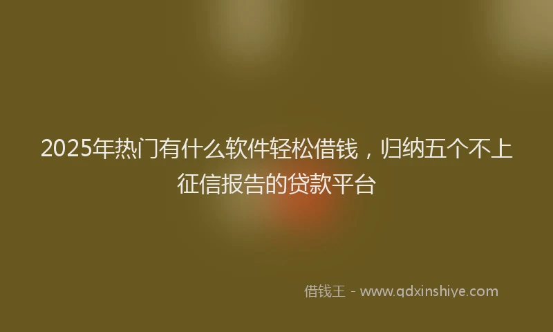 2025年热门有什么软件轻松借钱，归纳五个不上征信报告的贷款平台