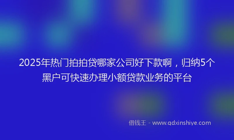 2025年热门拍拍贷哪家公司好下款啊，归纳5个黑户可快速办理小额贷款业务的平台