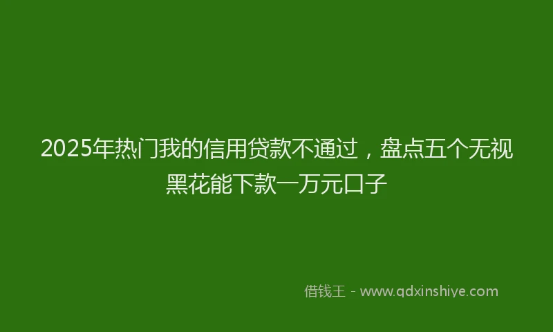 2025年热门我的信用贷款不通过，盘点五个无视黑花能下款一万元口子