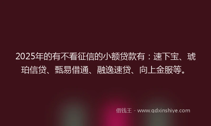 2025年的有不看征信的小额贷款有：速下宝、琥珀信贷、甄易借通、融逸速贷、向上金服等。
