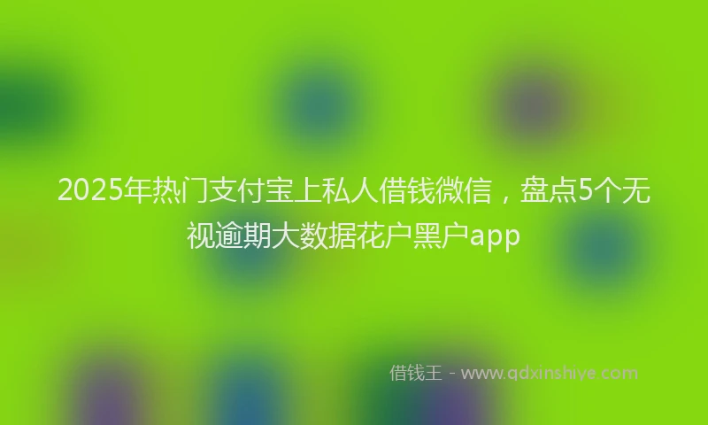 2025年热门支付宝上私人借钱微信，盘点5个无视逾期大数据花户黑户app