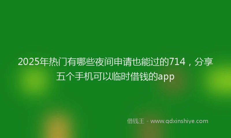 2025年热门有哪些夜间申请也能过的714，分享五个手机可以临时借钱的app