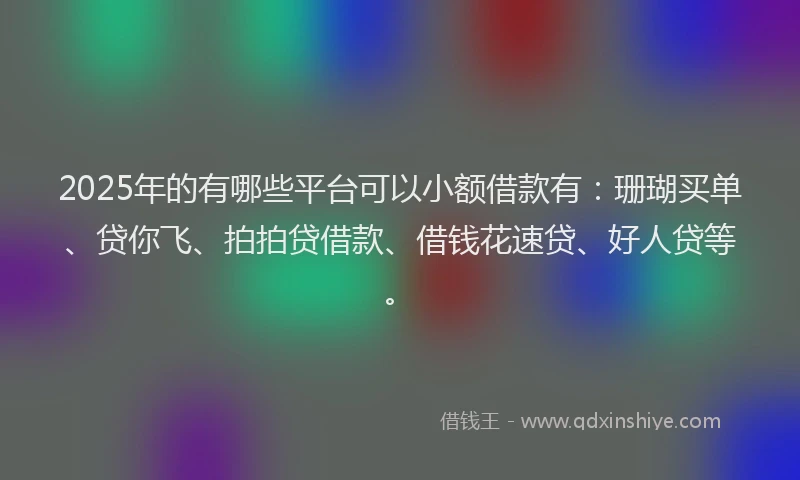 2025年的有哪些平台可以小额借款有：珊瑚买单、贷你飞、拍拍贷借款、借钱花速贷、好人贷等。