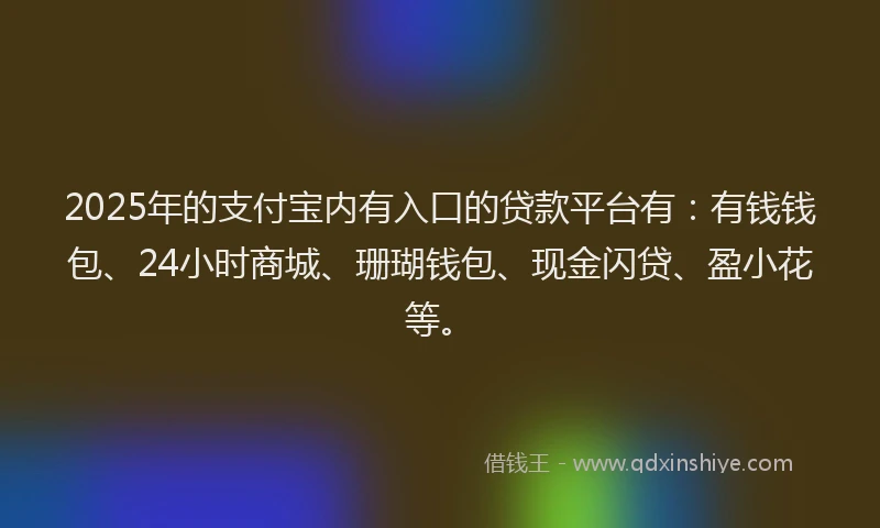 2025年的支付宝内有入口的贷款平台有：有钱钱包、24小时商城、珊瑚钱包、现金闪贷、盈小花等。