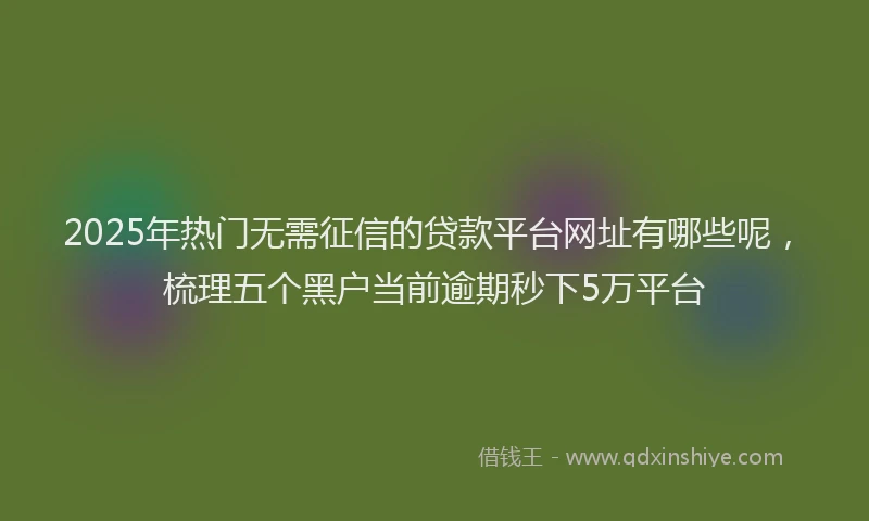 2025年热门无需征信的贷款平台网址有哪些呢，梳理五个黑户当前逾期秒下5万平台