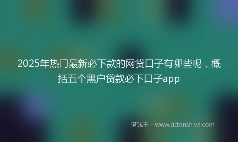 2025年热门最新必下款的网贷口子有哪些呢，概括五个黑户贷款必下口子app