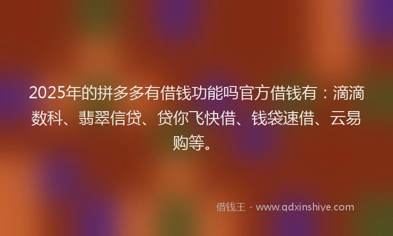 2025年的拼多多有借钱功能吗官方借钱有：滴滴数科、翡翠信贷、贷你飞快借、钱袋速借、云易购等。