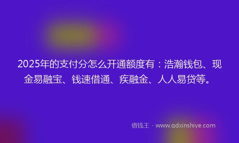 2025年的支付分怎么开通额度有：浩瀚钱包、现金易融宝、钱速借通、疾融金、人人易贷等。