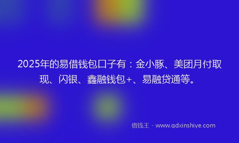 2025年的易借钱包口子有：金小豚、美团月付取现、闪银、鑫融钱包+、易融贷通等。
