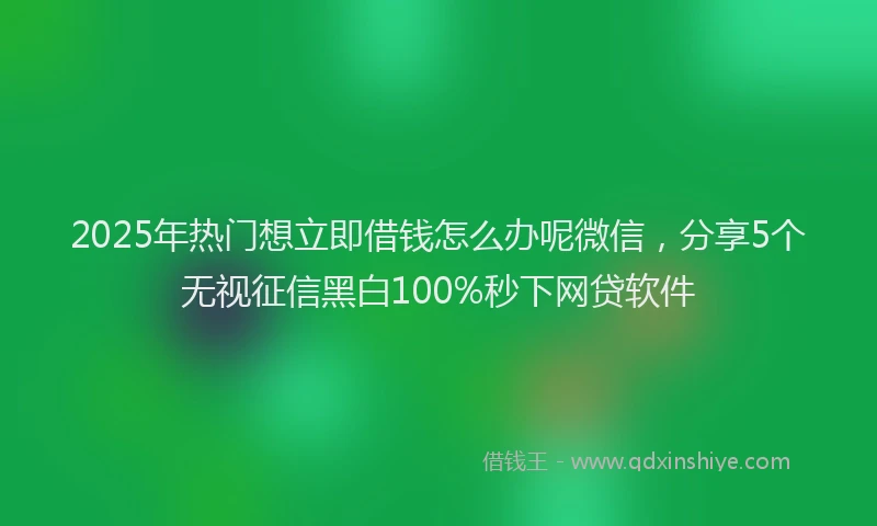 2025年热门想立即借钱怎么办呢微信，分享5个无视征信黑白100%秒下网贷软件