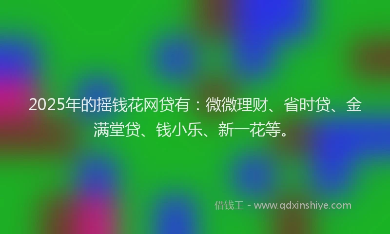 2025年的摇钱花网贷有：微微理财、省时贷、金满堂贷、钱小乐、新一花等。