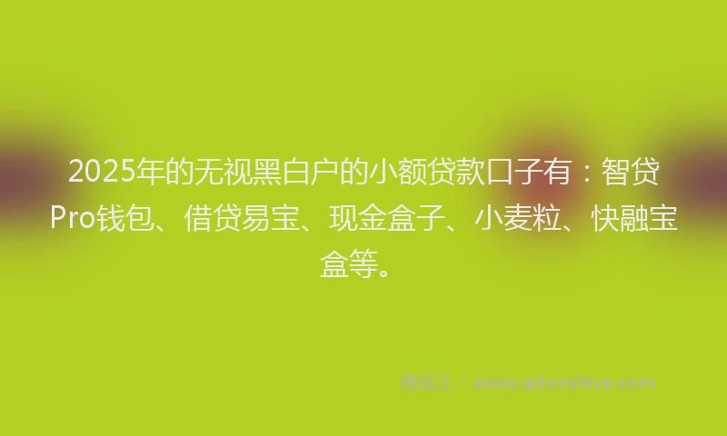 2025年的无视黑白户的小额贷款口子有：智贷Pro钱包、借贷易宝、现金盒子、小麦粒、快融宝盒等。