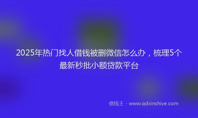 2025年热门找人借钱被删微信怎么办，梳理5个最新秒批小额贷款平台