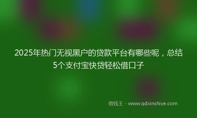 2025年热门无视黑户的贷款平台有哪些呢，总结5个支付宝快贷轻松借口子